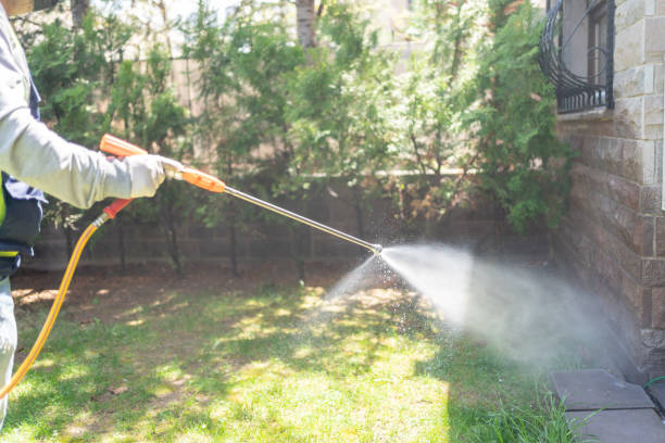 Best Outdoor Pest Control  in South Apopka, FL